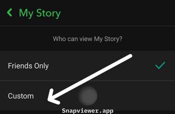 Custom story privacy settings