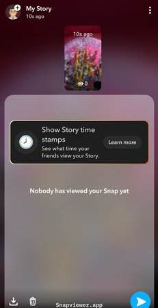 Viewing Snapchat story views