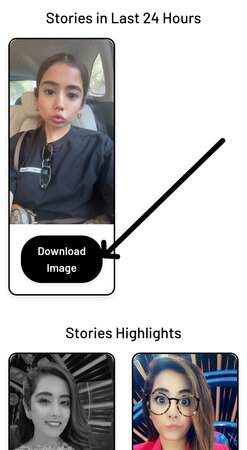 Download Snapchat Stories button example