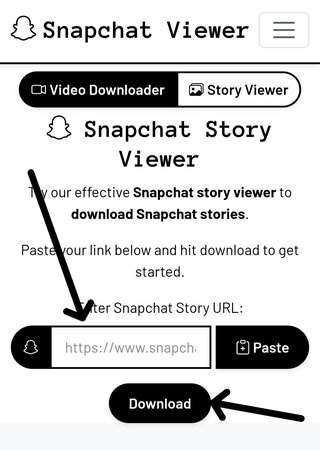 Paste Snapchat username or link in Snapviewer input