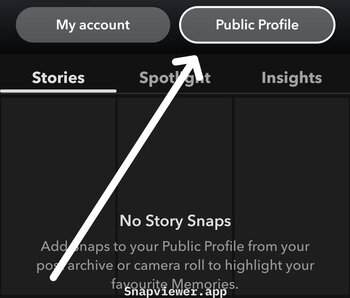 Snapchat Public Profile Settings